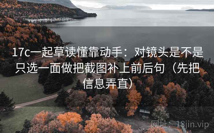17c一起草读懂靠动手：对镜头是不是只选一面做把截图补上前后句（先把信息弄直）
